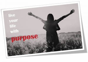live your life with purpose (800x565)